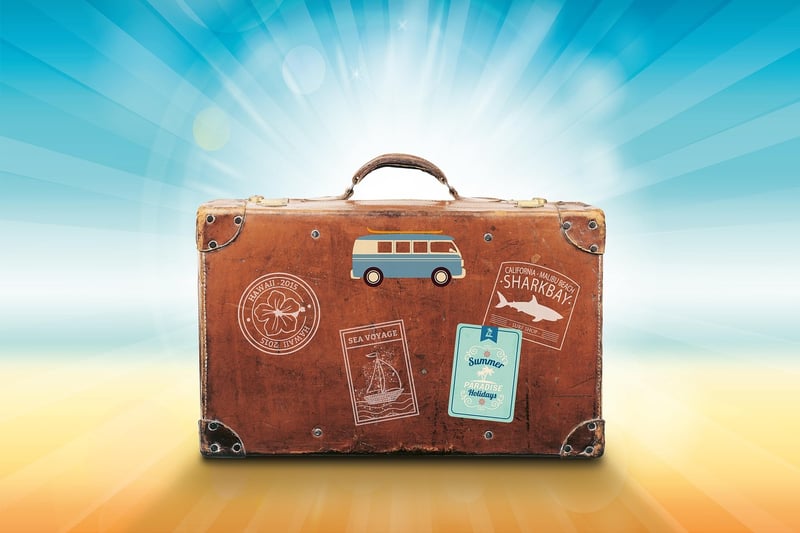 Vintage suitcase pet bed